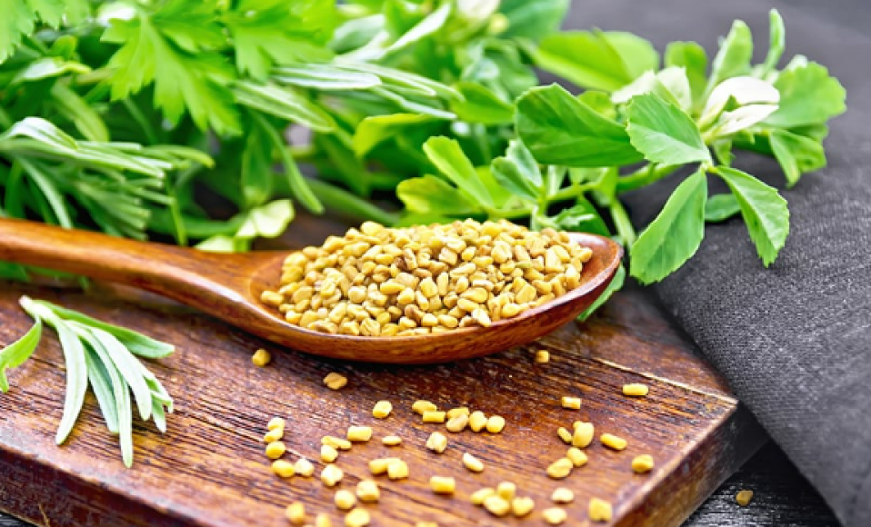 The Science Behind Fenugreek's Health Benefits: A Deep Dive AMOCARE