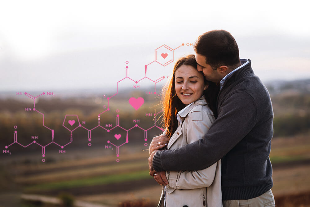 Role of Oxytocin between Couples