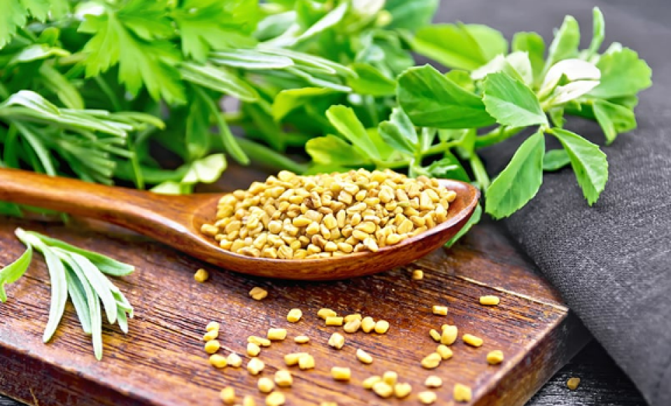 Fenugreek Health Benefits